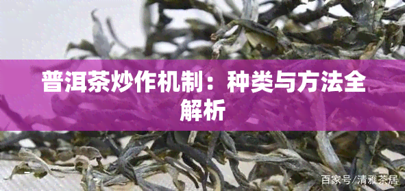 普洱茶炒作机制：种类与方法全解析