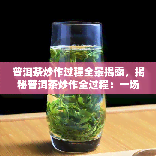 普洱茶炒作过程全景揭露，揭秘普洱茶炒作全过程：一场茶叶市场的风云变幻