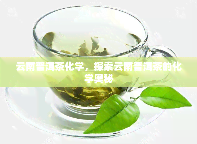 云南普洱茶化学，探索云南普洱茶的化学奥秘