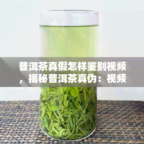 普洱茶真假怎样鉴别视频，揭秘普洱茶真伪：视频教你如何辨别茶叶的真假！