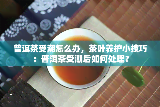 普洱茶受潮怎么办，茶叶养护小技巧：普洱茶受潮后如何处理？