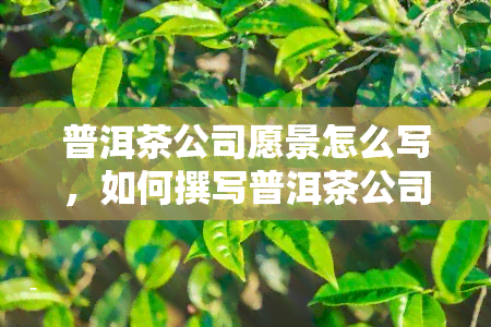 普洱茶公司愿景怎么写，如何撰写普洱茶公司的愿景陈述？