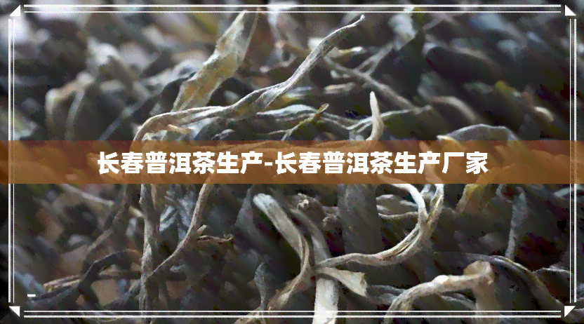 长春普洱茶生产-长春普洱茶生产厂家