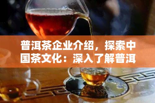 普洱茶企业介绍，探索中国茶文化：深入了解普洱茶企业的历与制作工艺