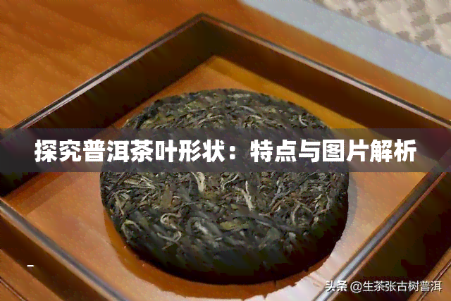 探究普洱茶叶形状：特点与图片解析