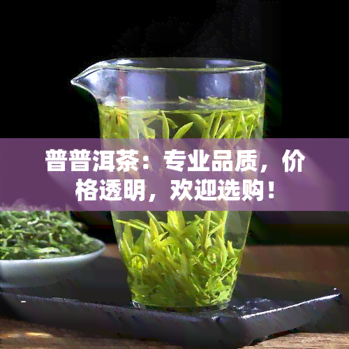 普普洱茶：专业品质，价格透明，欢迎选购！