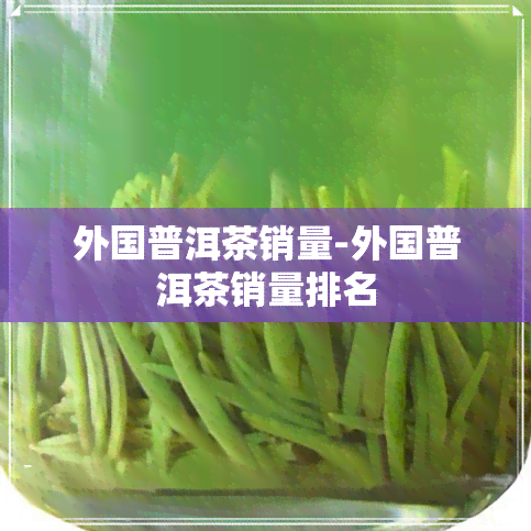 外国普洱茶销量-外国普洱茶销量排名