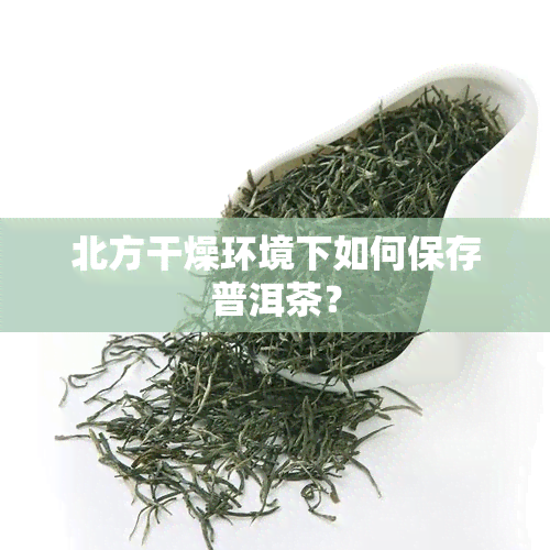 北方干燥环境下如何保存普洱茶？