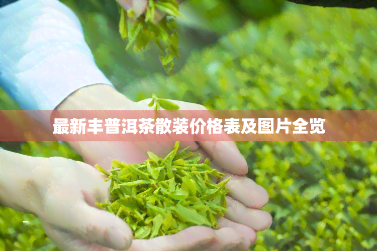 最新丰普洱茶散装价格表及图片全览