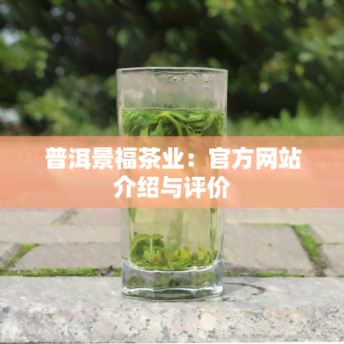 普洱景福茶业：官方网站介绍与评价