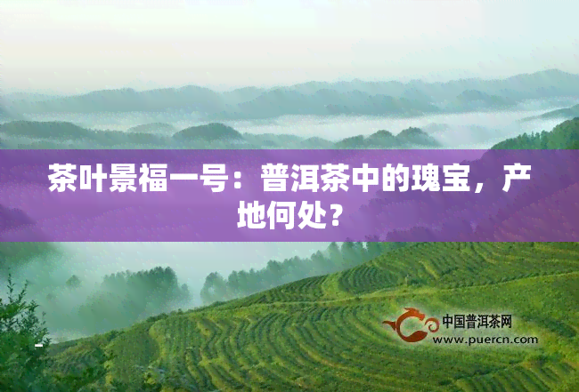 茶叶景福一号：普洱茶中的瑰宝，产地何处？