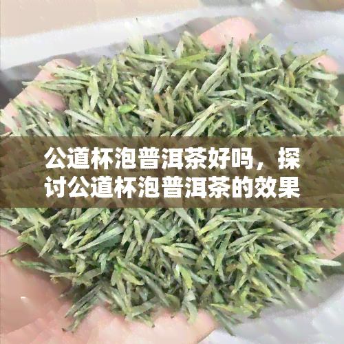 公道杯泡普洱茶好吗，探讨公道杯泡普洱茶的效果与优劣