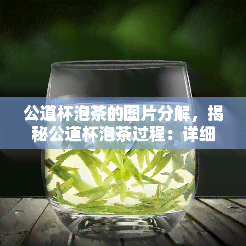 公道杯泡茶的图片分解，揭秘公道杯泡茶过程：详细分解步骤图解