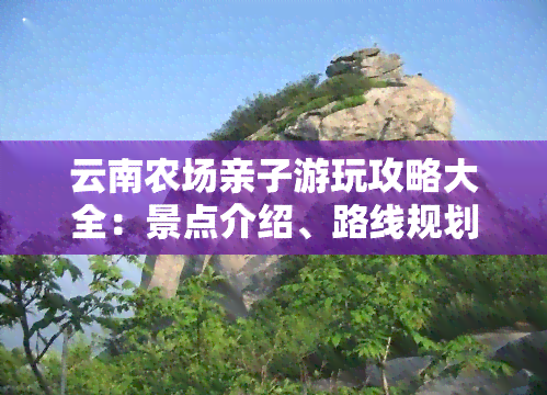 云南农场亲子游玩攻略大全：景点介绍、路线规划、美食推荐与实用贴士