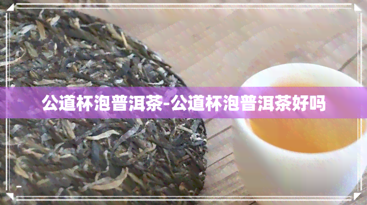 公道杯泡普洱茶-公道杯泡普洱茶好吗