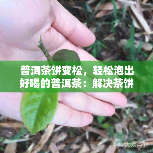 普洱茶饼变松，轻松泡出好喝的普洱茶：解决茶饼变松问题