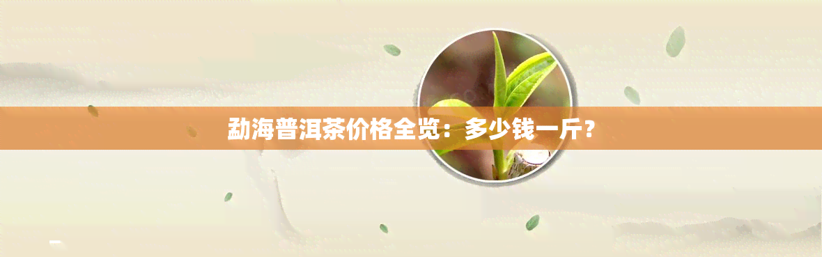 勐海普洱茶价格全览：多少钱一斤？