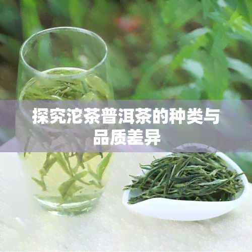 探究沱茶普洱茶的种类与品质差异