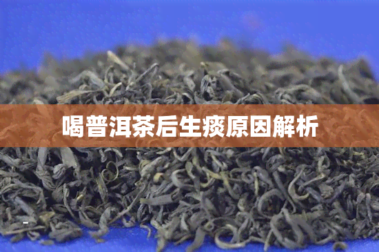 喝普洱茶后生痰原因解析