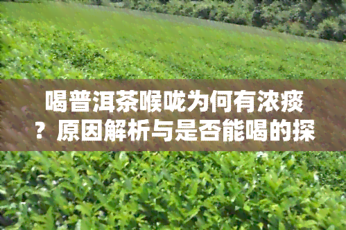 喝普洱茶喉咙为何有浓痰？原因解析与是否能喝的探讨