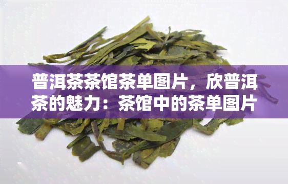 普洱茶茶馆茶单图片，欣普洱茶的魅力：茶馆中的茶单图片一览