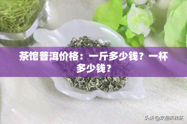 茶馆普洱价格：一斤多少钱？一杯多少钱？