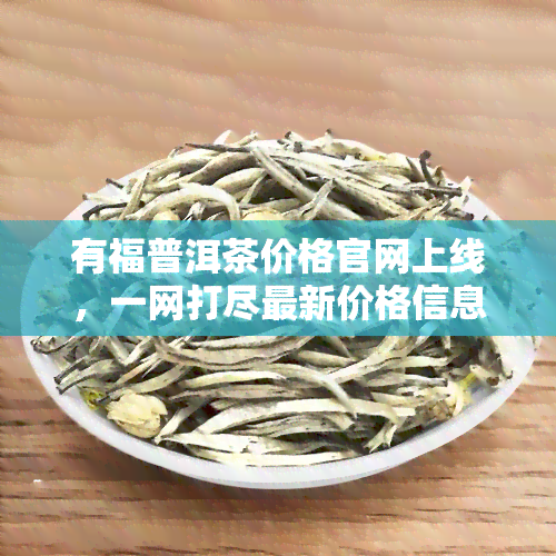 有福普洱茶价格官网上线，一网打尽最新价格信息！