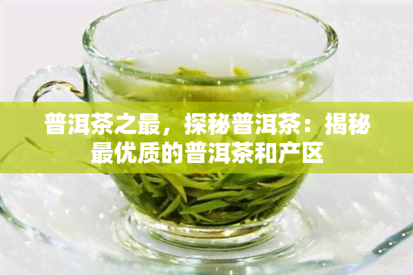 普洱茶之最，探秘普洱茶：揭秘更优质的普洱茶和产区