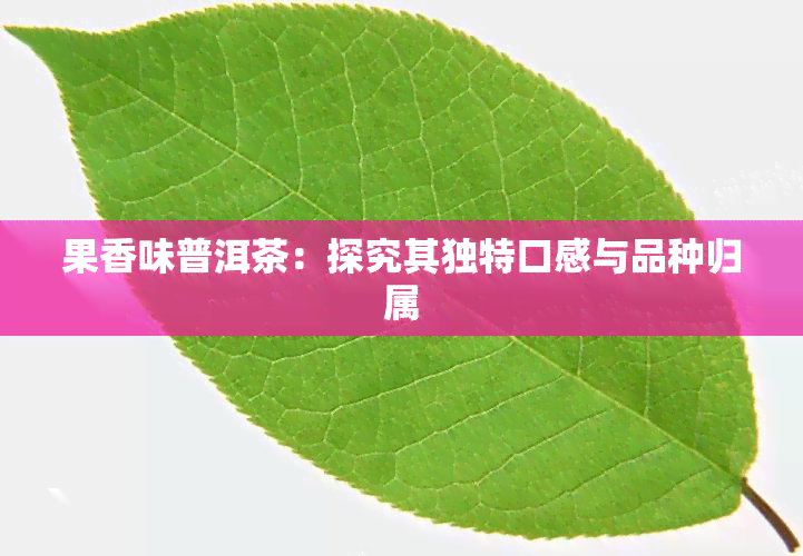 果香味普洱茶：探究其独特口感与品种归属