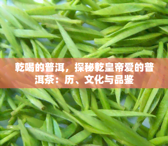 乾喝的普洱，探秘乾皇帝爱的普洱茶：历、文化与品鉴