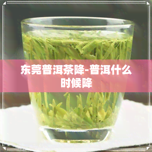 东莞普洱茶降-普洱什么时候降