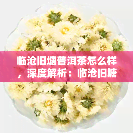 临沧旧塘普洱茶怎么样，深度解析：临沧旧塘普洱茶的口感与品质如何？