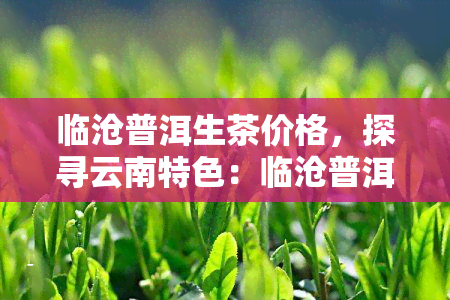 临沧普洱生茶价格，探寻云南特色：临沧普洱生茶的价格解析与购买指南