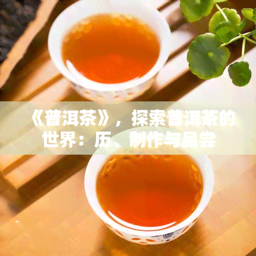 《普洱茶》，探索普洱茶的世界：历、制作与品尝