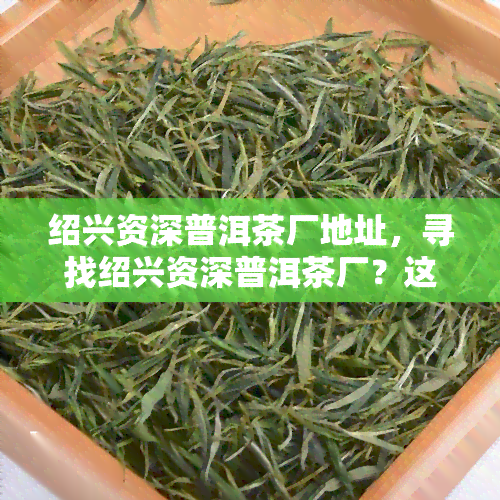 绍兴资深普洱茶厂地址，寻找绍兴资深普洱茶厂？这里提供详细地址！