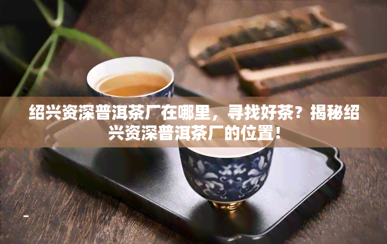 绍兴资深普洱茶厂在哪里，寻找好茶？揭秘绍兴资深普洱茶厂的位置！