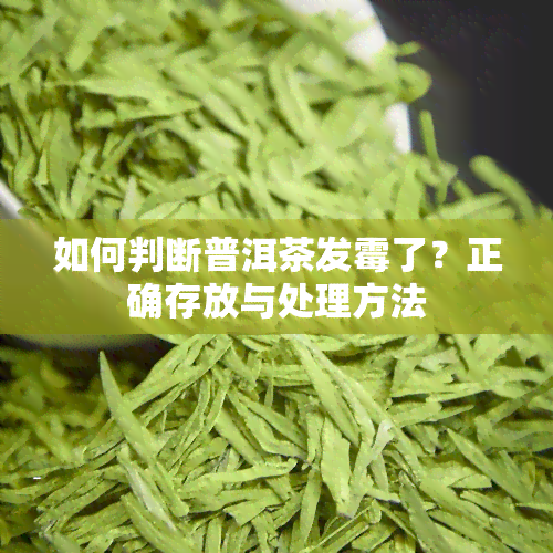 如何判断普洱茶发霉了？正确存放与处理方法