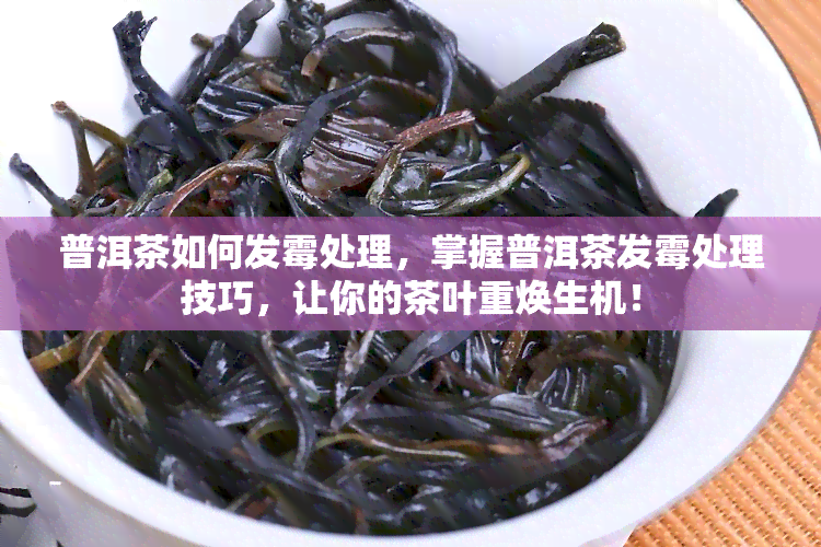 普洱茶如何发霉处理，掌握普洱茶发霉处理技巧，让你的茶叶重焕生机！