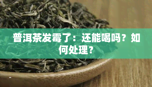 普洱茶发霉了：还能喝吗？如何处理？