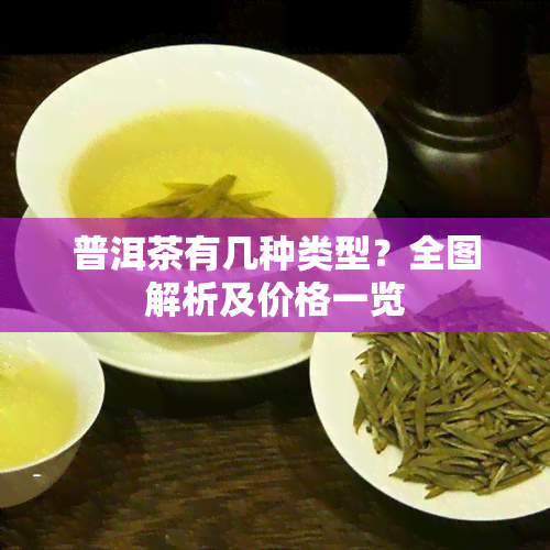 普洱茶有几种类型？全图解析及价格一览