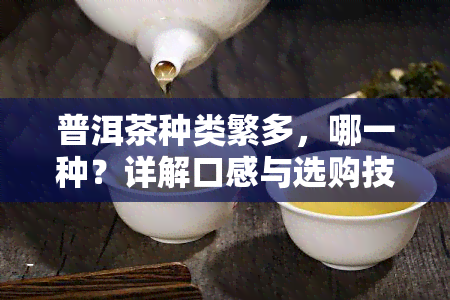 普洱茶种类繁多，哪一种？详解口感与选购技巧