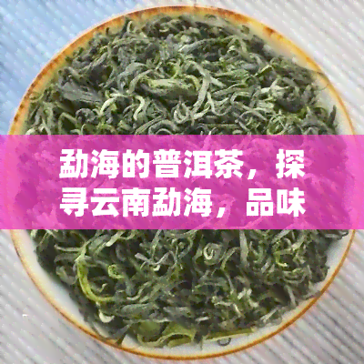 勐海的普洱茶，探寻云南勐海，品味正宗普洱茶的魅力