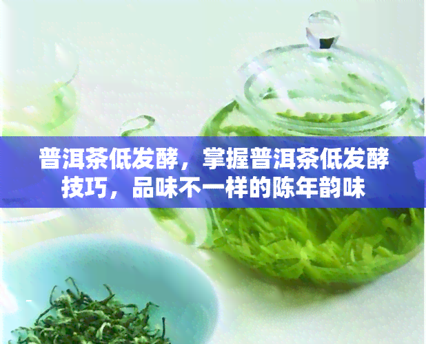 普洱茶低发酵，掌握普洱茶低发酵技巧，品味不一样的陈年韵味