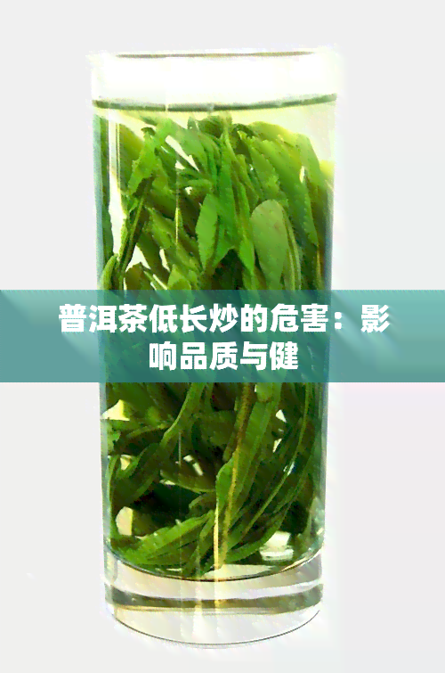 普洱茶低长炒的危害：影响品质与健