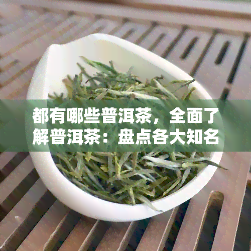 都有哪些普洱茶，全面了解普洱茶：盘点各大知名