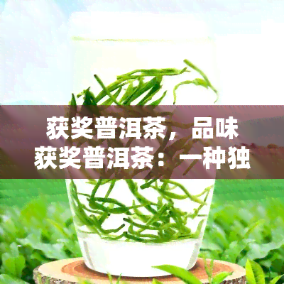 获奖普洱茶，品味获奖普洱茶：一种独特的中国茶文化体验