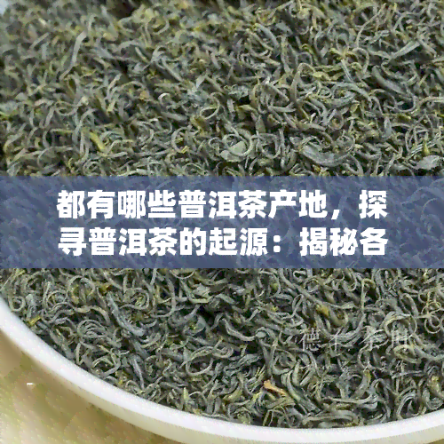 都有哪些普洱茶产地，探寻普洱茶的起源：揭秘各大普洱茶产地！