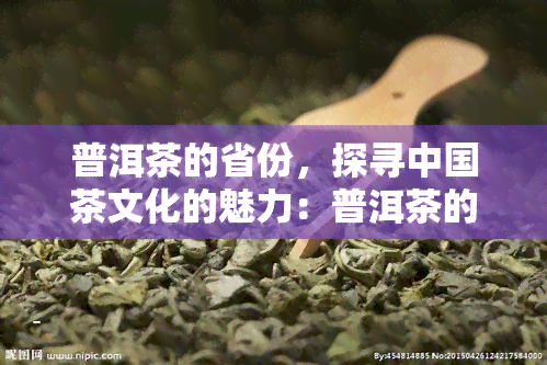 普洱茶的省份，探寻中国茶文化的魅力：普洱茶的省份