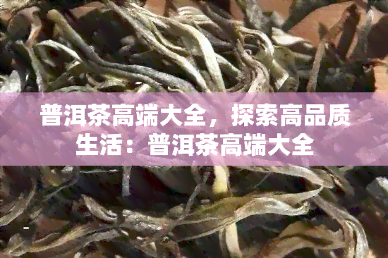 普洱茶高端大全，探索高品质生活：普洱茶高端大全