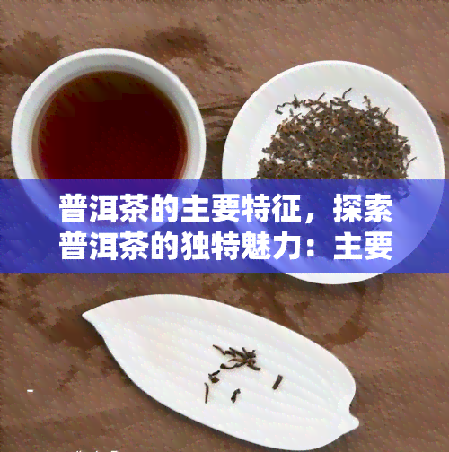 普洱茶的主要特征，探索普洱茶的独特魅力：主要特征解析